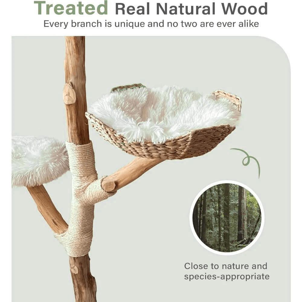 Catitude Heavy Duty Cat Tree for Large Cats - Unique Handmade Aesthetic Cat Tree with Real Solid Wood Branches