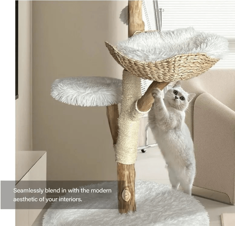 Catitude Heavy Duty Cat Tree for Large Cats - Unique Handmade Aesthetic Cat Tree with Real Solid Wood Branches