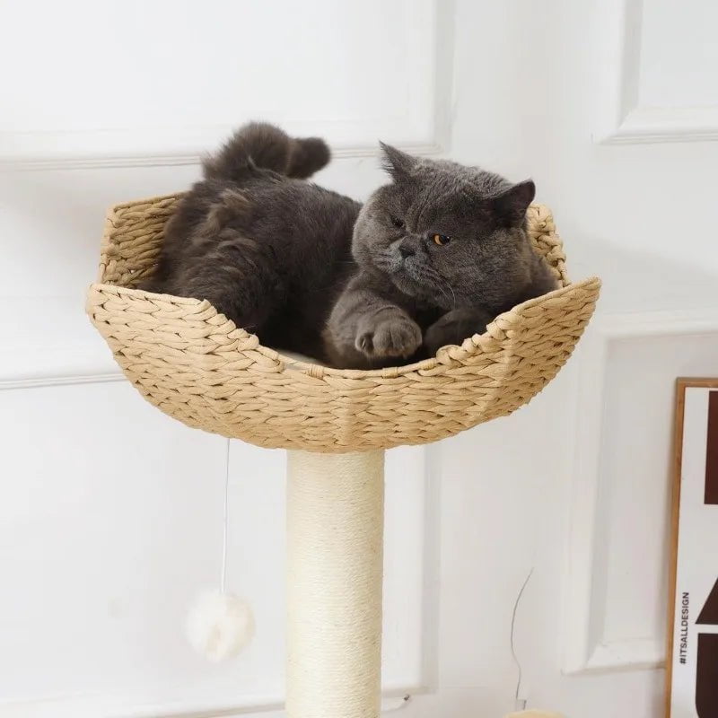 2-Pack Large Cat Tower Add-ons - Handwoven Wicker Rattan Nest Basket Bed Replacement Parts for Cat Trees