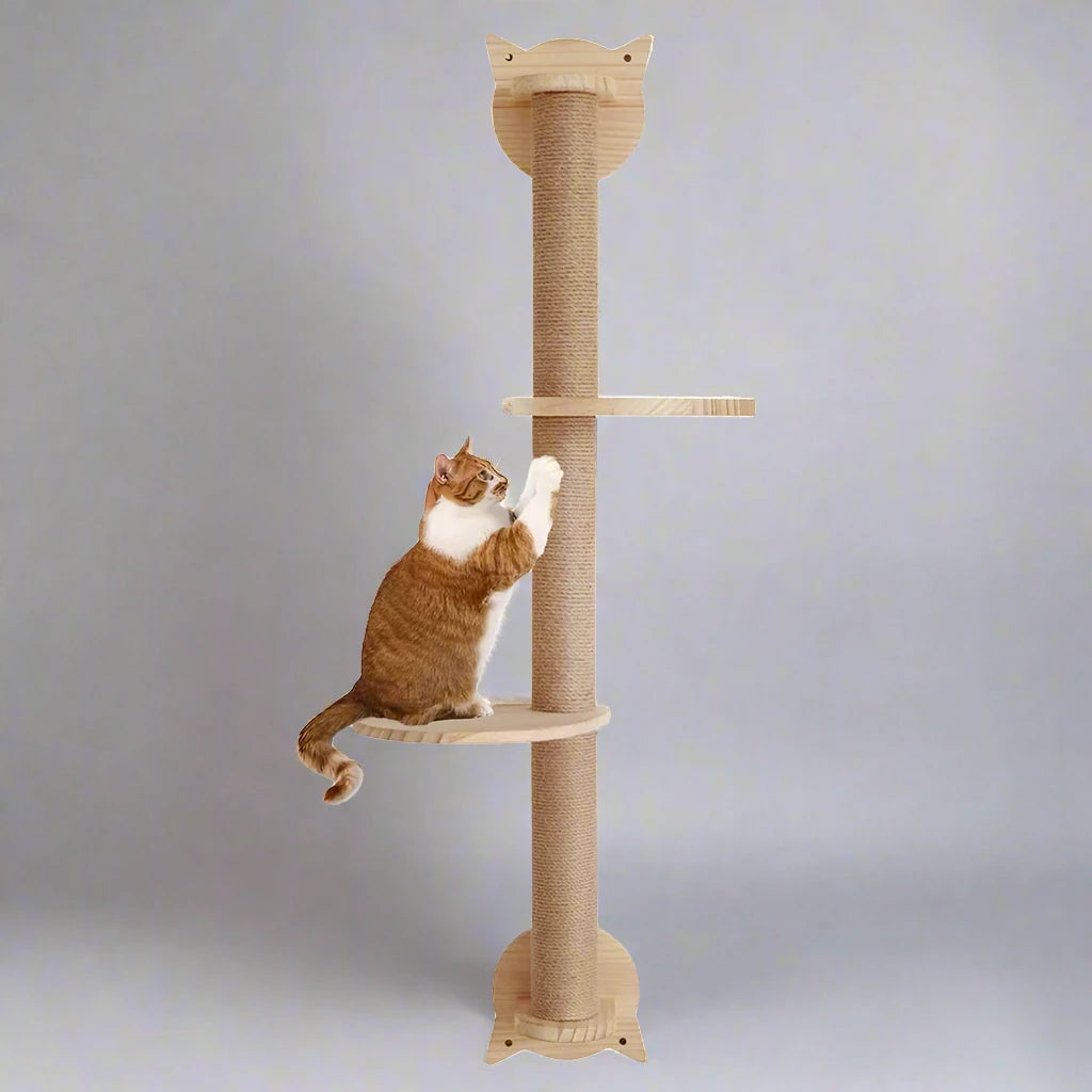 41-Inch Cat Tree with Scratching Posts, 2 Perches, and Hammock for Cats and Kittens