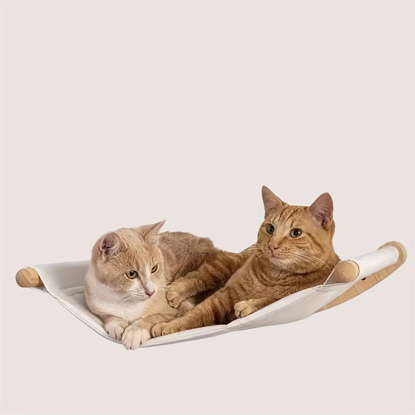 Wall-Mounted Cat Hammock with Two Steps, Shelf, and Sturdy Wood Construction for Relaxation and Play