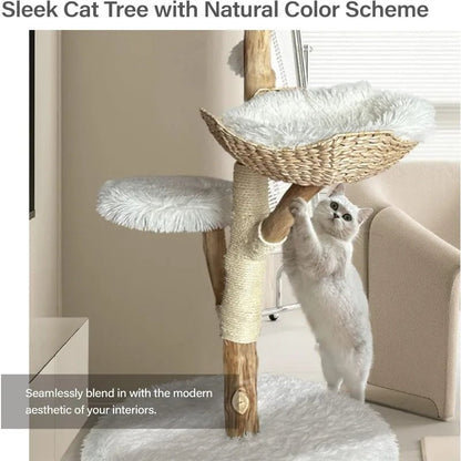 Wooden Cat Tree Tower - Unique Heavy Duty Cat Tower with Real Wood Branches and Luxurious Cat Furniture for Large Breeds