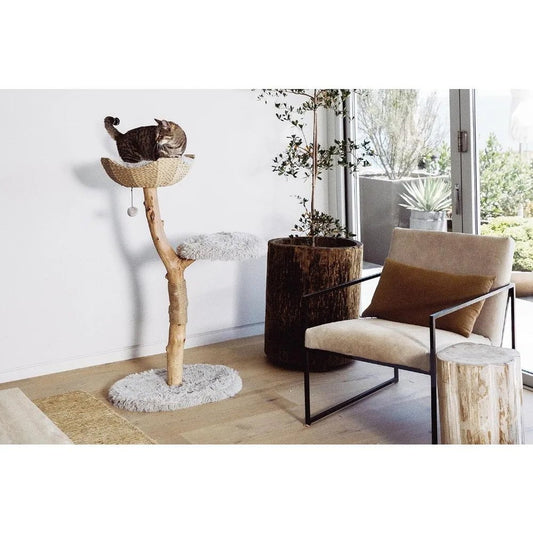 Modern Wooden Cat Tree Tower - Single Branch Condo with Unique Design, 3-Layer Cat Furniture for Large Cats