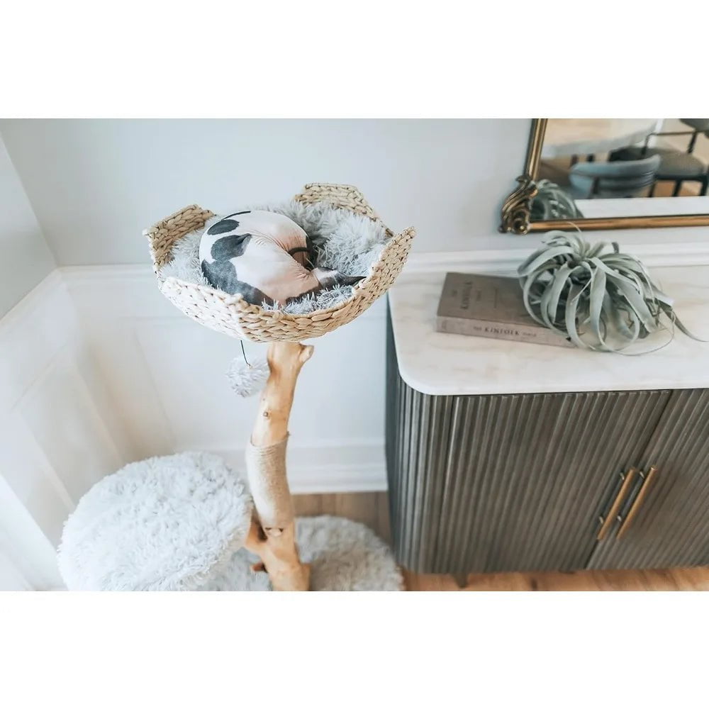 Modern Wooden Cat Tree Tower - Single Branch Condo with Unique Design, 3-Layer Cat Furniture for Large Cats