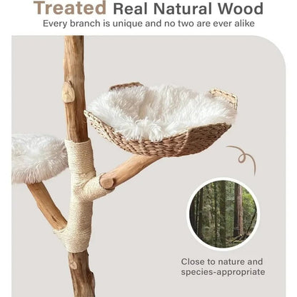 Wooden Cat Tree Tower - Unique Heavy Duty Cat Tower with Real Wood Branches and Luxurious Cat Furniture for Large Breeds