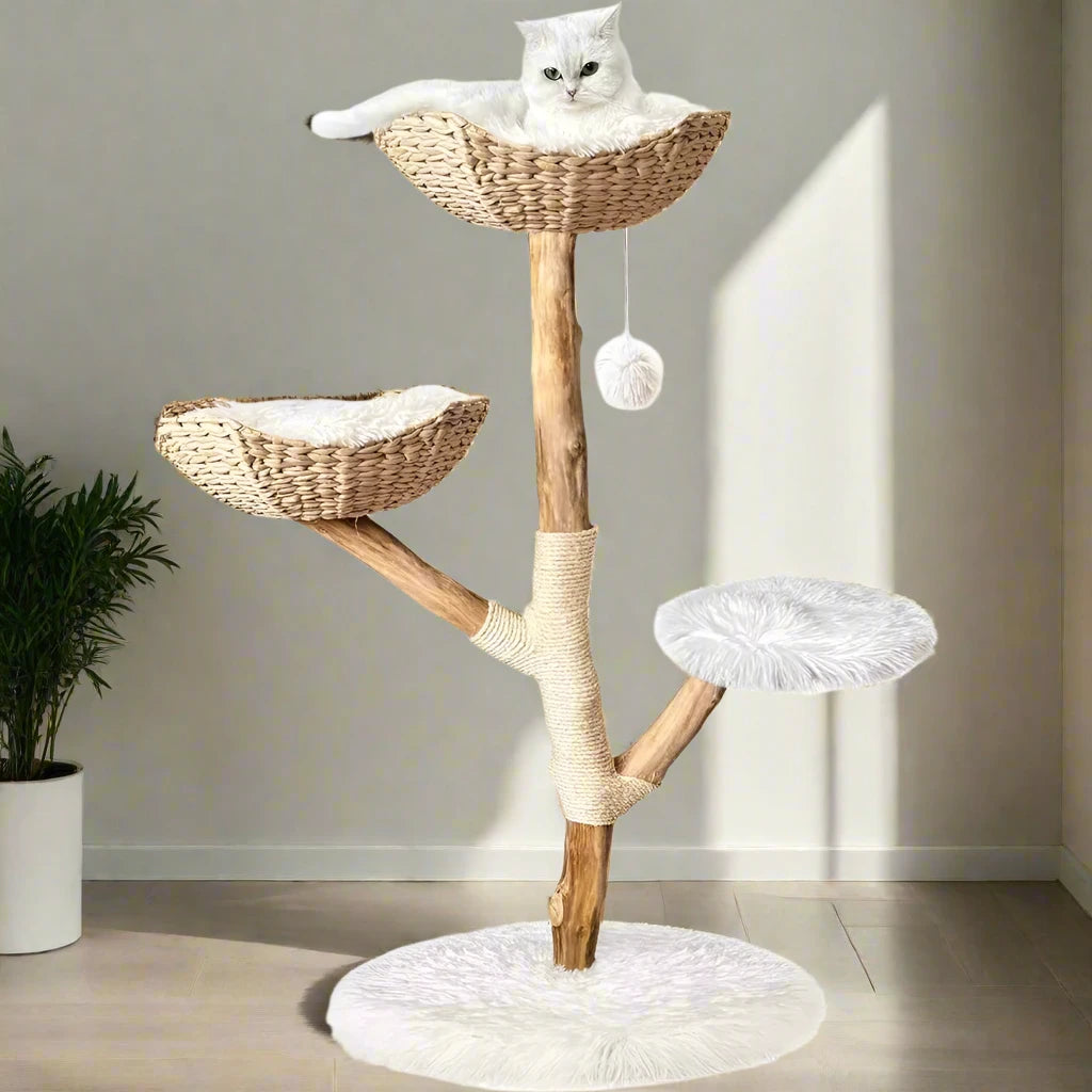 Heavy Duty Cat Tree for Large Cats - Unique Handmade Aesthetic Cat Tree with Real Solid Wood Branches