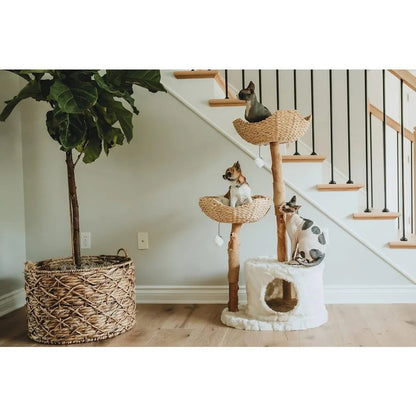 Modern Luxury Cat Tree Tower for Large Cats - 3-Layer Real Branch Cat Condo with Scratching Tree and Unique Design