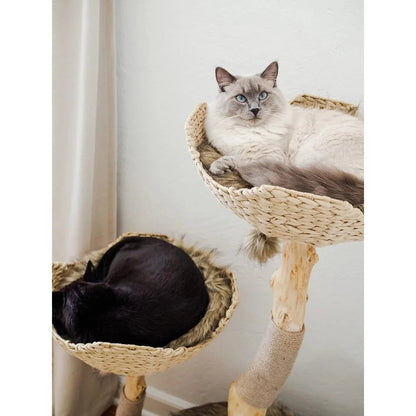 Modern Luxury Cat Tree Tower for Large Cats - 3-Layer Real Branch Cat Condo with Scratching Tree and Unique Design