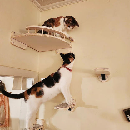 Wall-Mounted Cat Tree with Corner Hammock, Steps, and Multiple Perches for Indoor Cats