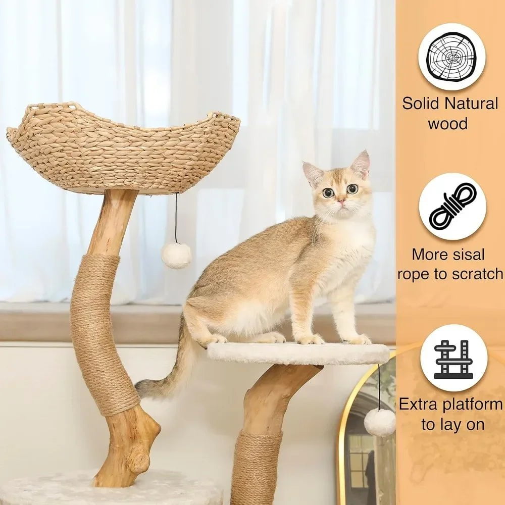 Modern Cat Tree Tower for Small Indoor Cats - Real Wood Construction, Scratch Post, and Cozy Perches for Climbing and Relaxation