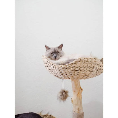 Modern Luxury Cat Tree Tower for Large Cats - 3-Layer Real Branch Cat Condo with Scratching Tree and Unique Design