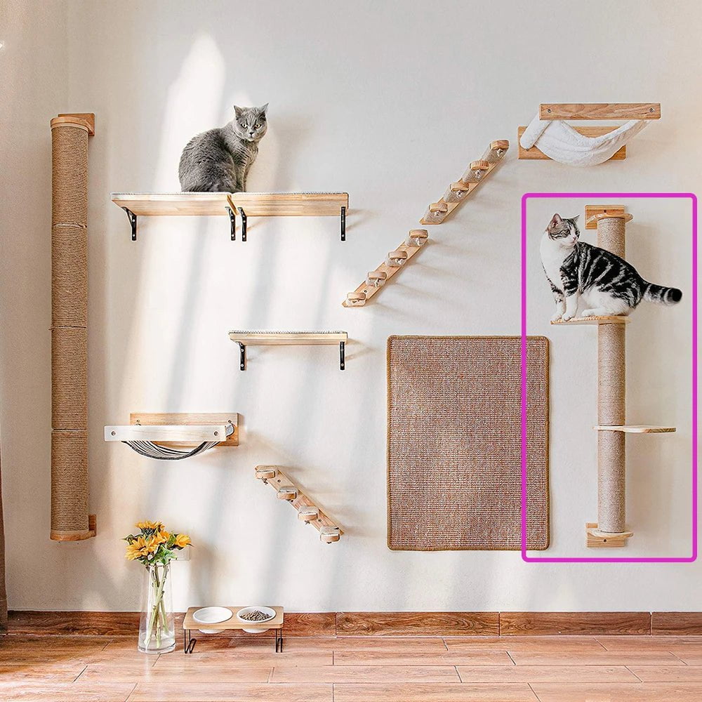 41-Inch Cat Tree with Scratching Posts, 2 Perches, and Hammock for Cats and Kittens