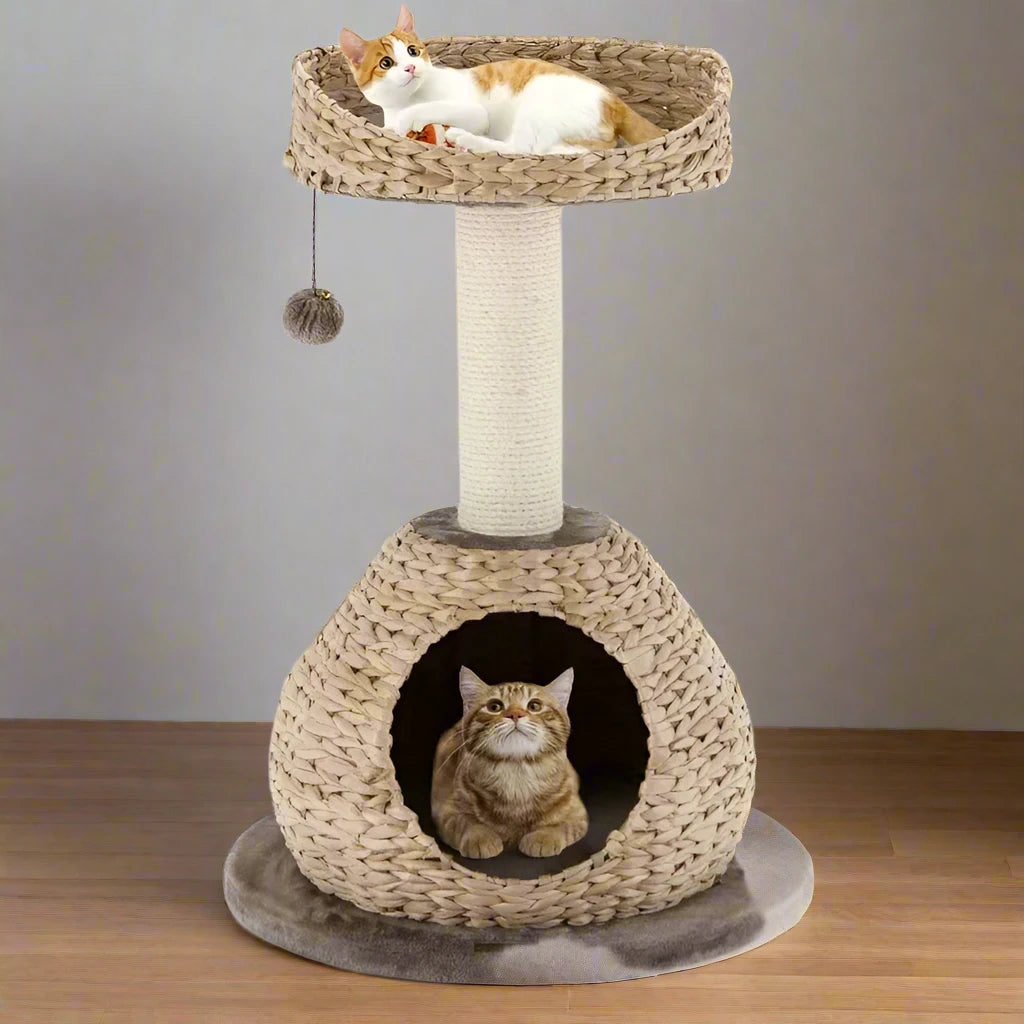 Modern Cat Tree Tower - Natural Paper Rope Bowl Shaped Cat Activity Tree with Perch