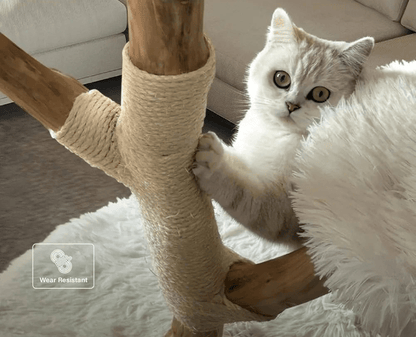 Catitude Heavy Duty Cat Tree for Large Cats - Unique Handmade Aesthetic Cat Tree with Real Solid Wood Branches