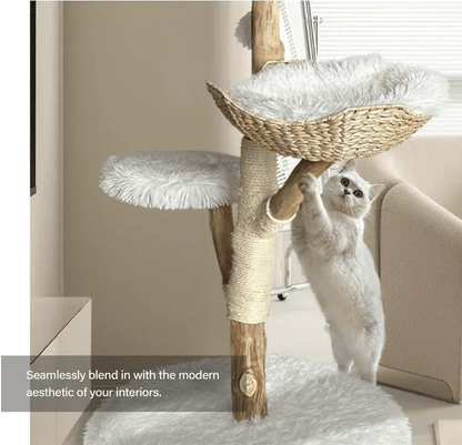 Catitude Heavy Duty Cat Tree for Large Cats - Unique Handmade Aesthetic Cat Tree with Real Solid Wood Branches